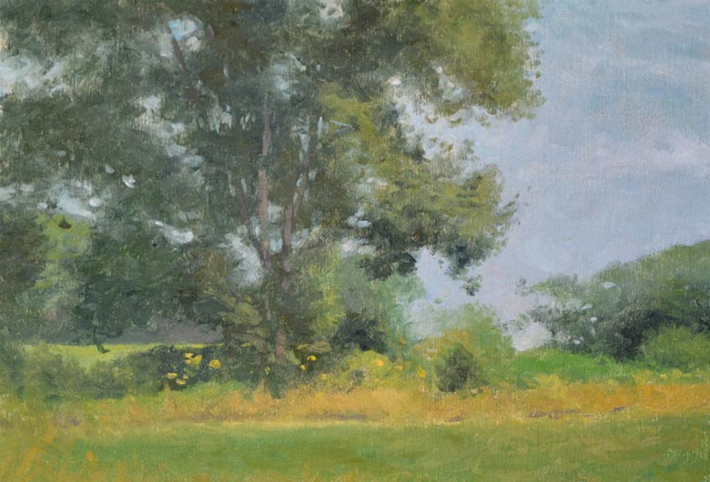 summerMorn
